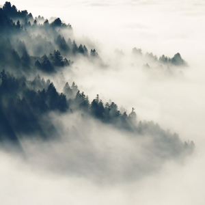 少妇凸轮内射高清视频
